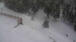 Přístup na běžeckou trať