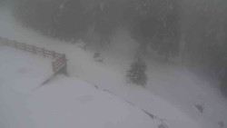 Přístup na běžeckou trať