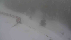 Přístup na běžeckou trať