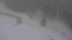 Přístup na běžeckou trať