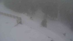 Přístup na běžeckou trať