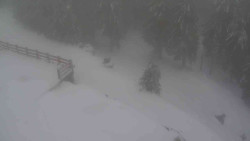 Přístup na běžeckou trať