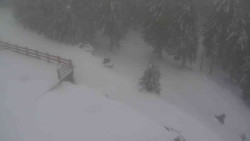 Přístup na běžeckou trať