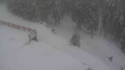 Přístup na běžeckou trať