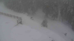 Přístup na běžeckou trať