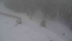 Přístup na běžeckou trať