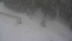 Přístup na běžeckou trať