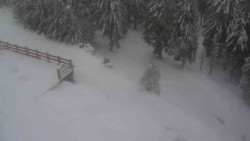 Přístup na běžeckou trať