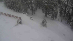 Přístup na běžeckou trať