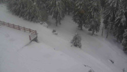 Přístup na běžeckou trať