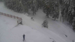 Přístup na běžeckou trať