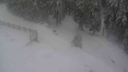 Přístup na běžeckou trať