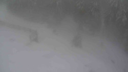 Přístup na běžeckou trať