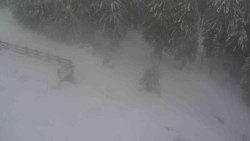 Přístup na běžeckou trať