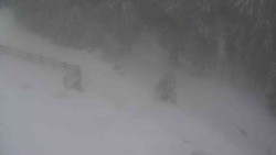 Přístup na běžeckou trať