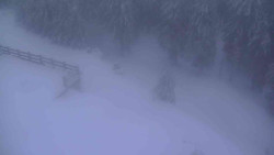 Přístup na běžeckou trať