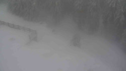 Přístup na běžeckou trať