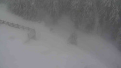 Přístup na běžeckou trať