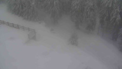 Přístup na běžeckou trať