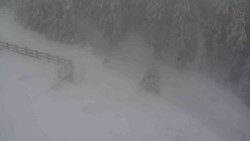 Přístup na běžeckou trať