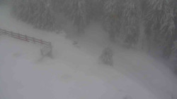 Přístup na běžeckou trať