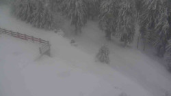 Přístup na běžeckou trať