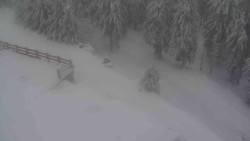 Přístup na běžeckou trať