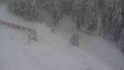 Přístup na běžeckou trať