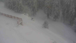 Přístup na běžeckou trať