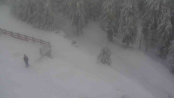 Přístup na běžeckou trať