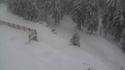 Přístup na běžeckou trať