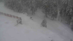 Přístup na běžeckou trať