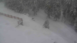 Přístup na běžeckou trať