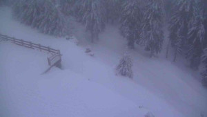 Sporthotel Kurzovní - Přístup na běžeckou trať - 18.2.2026 v 06:40