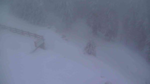 Sporthotel Kurzovní - Přístup na běžeckou trať - 18.2.2026 v 06:55