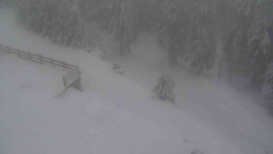 Sporthotel Kurzovní - Přístup na běžeckou trať - 18.2.2026 v 07:25