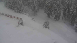 Přístup na běžeckou trať