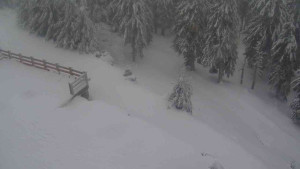 Sporthotel Kurzovní - Přístup na běžeckou trať - 18.2.2026 v 08:55