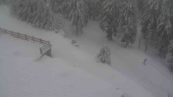 Přístup na běžeckou trať