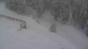 Sporthotel Kurzovní - Přístup na běžeckou trať - 18.2.2026 v 10:55