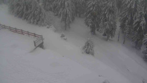 Sporthotel Kurzovní - Přístup na běžeckou trať - 18.2.2026 v 11:00