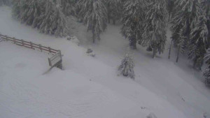 Sporthotel Kurzovní - Přístup na běžeckou trať - 18.2.2026 v 11:55