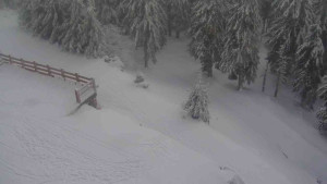 Sporthotel Kurzovní - Přístup na běžeckou trať - 18.2.2026 v 12:55