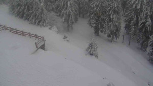 Sporthotel Kurzovní - Přístup na běžeckou trať - 18.2.2026 v 13:55