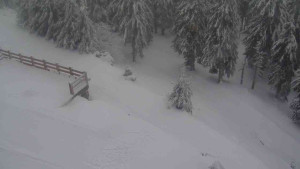 Sporthotel Kurzovní - Přístup na běžeckou trať - 18.2.2026 v 14:05