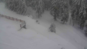 Sporthotel Kurzovní - Přístup na běžeckou trať - 18.2.2026 v 14:15