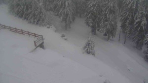 Sporthotel Kurzovní - Přístup na běžeckou trať - 18.2.2026 v 14:20