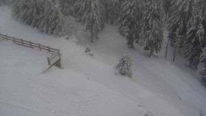 Sporthotel Kurzovní - Přístup na běžeckou trať - 18.2.2026 v 15:55