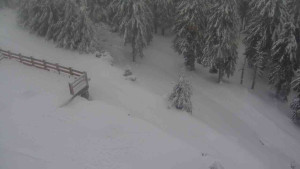 Sporthotel Kurzovní - Přístup na běžeckou trať - 18.2.2026 v 16:55 Sporthotel Kurzovní - Přístup na běžeckou trať - 18.2.2026 v 16:55