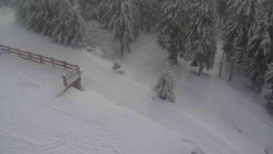 Přístup na běžeckou trať